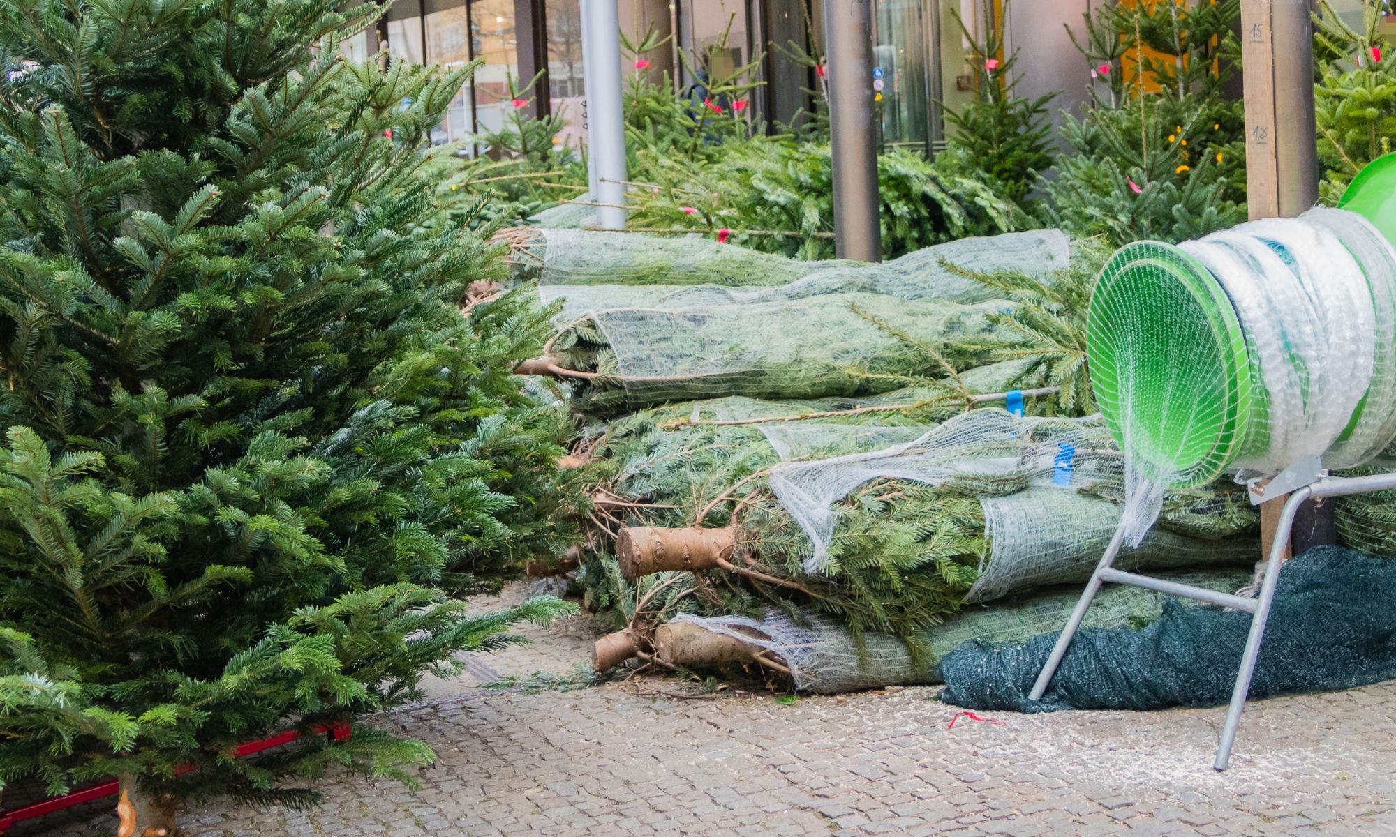 Lustige-Weihnachtsgeschichten